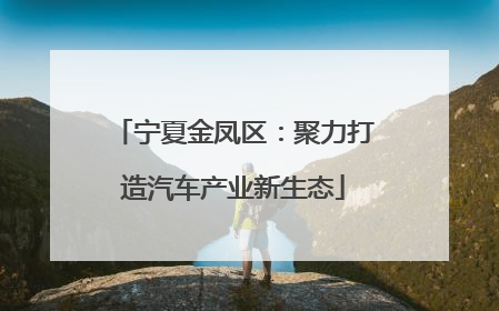 宁夏金凤区：聚力打造汽车产业新生态