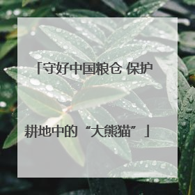 守好中国粮仓 保护耕地中的“大熊猫”
