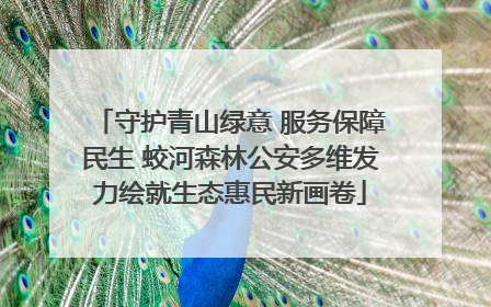 守护青山绿意 服务保障民生 蛟河森林公安多维发力绘就生态惠民新画卷