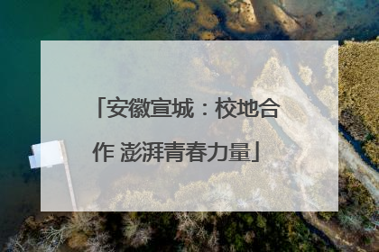 安徽宣城：校地合作 澎湃青春力量