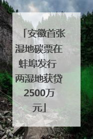 安徽首张湿地碳票在蚌埠发行 两湿地获贷2500万元