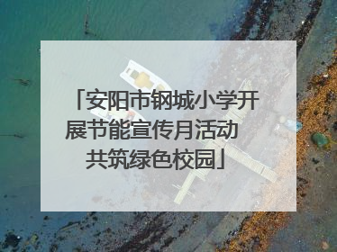 安阳市钢城小学开展节能宣传月活动 共筑绿色校园