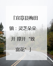 宜章县梅田镇：灵芝朵朵开 撑开“致富花”