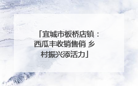 宜城市板桥店镇：西瓜丰收销售俏 乡村振兴添活力