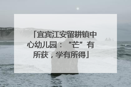 宜宾江安留耕镇中心幼儿园：“芒”有所获，学有所得