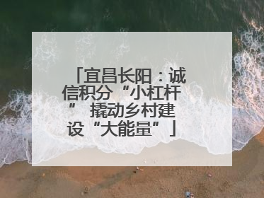 宜昌长阳：诚信积分“小杠杆” 撬动乡村建设“大能量”