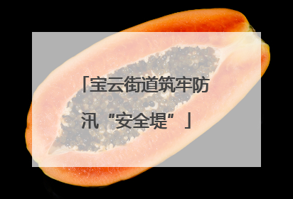 宝云街道筑牢防汛“安全堤”