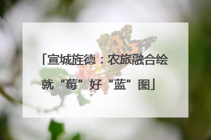 宣城旌德：农旅融合绘就“莓”好“蓝”图