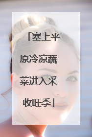 塞上平原冷凉蔬菜进入采收旺季