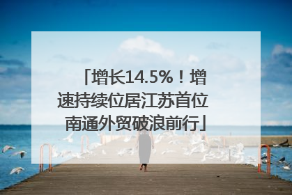 增长14.5%！增速持续位居江苏首位 南通外贸破浪前行