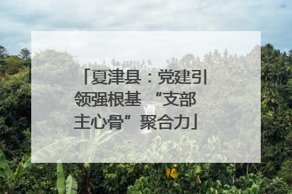 夏津县：党建引领强根基 “支部主心骨”聚合力