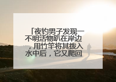 夜钓男子发现一不明活物趴在岸边，用竹竿将其拨入水中后，它又爬回岸边……