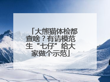 大熊猫体检都查啥？有请模范生“七仔”给大家做个示范