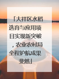 大祥区水稻选育与应用项目实现新突破，农业农村局全程护航成果斐然
