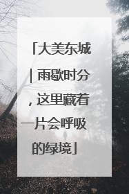 大美东城｜雨歇时分，这里藏着一片会呼吸的绿境