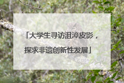 大学生寻访沮漳皮影，探求非遗创新性发展