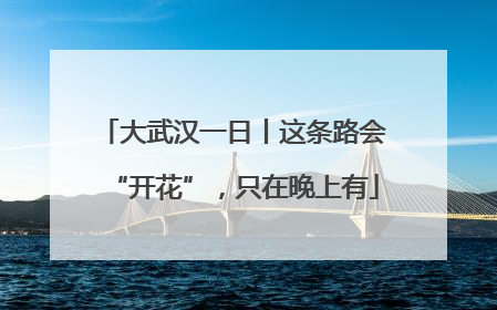 大武汉一日丨这条路会“开花”，只在晚上有