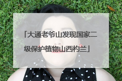 大通老爷山发现国家二级保护植物山西杓兰