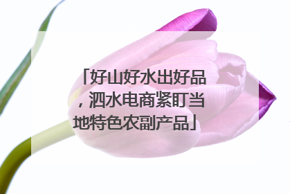好山好水出好品，泗水电商紧盯当地特色农副产品