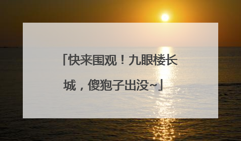 快来围观！九眼楼长城，傻狍子出没~