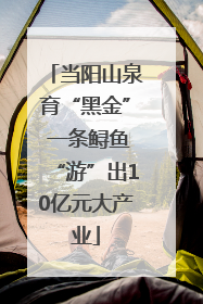 当阳山泉育“黑金” 一条鲟鱼“游”出10亿元大产业
