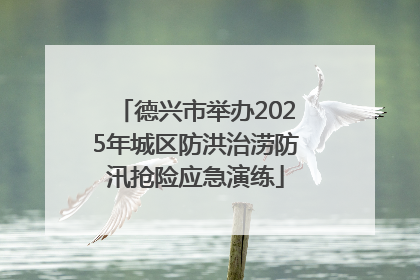 德兴市举办2025年城区防洪治涝防汛抢险应急演练