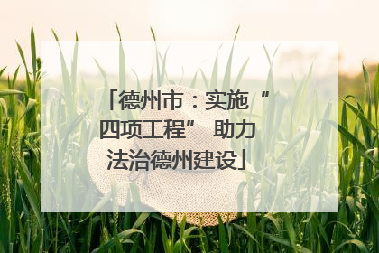 德州市：实施“四项工程” 助力法治德州建设