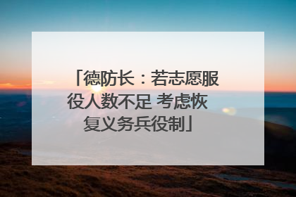 德防长：若志愿服役人数不足 考虑恢复义务兵役制