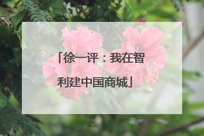 徐一评:我在智利建中国商城