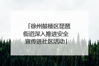 徐州鼓楼区琵琶街道深入推进安全宣传进社区活动