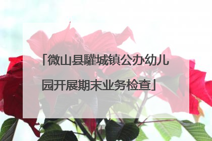 微山县驩城镇公办幼儿园开展期末业务检查