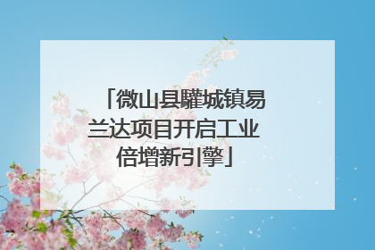 微山县驩城镇易兰达项目开启工业倍增新引擎