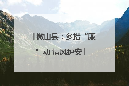 微山县：多措“廉”动 清风护安