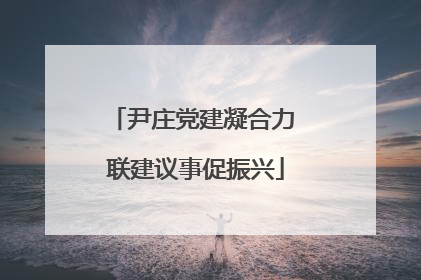 尹庄党建凝合力 联建议事促振兴
