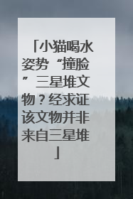 小猫喝水姿势“撞脸”三星堆文物？经求证该文物并非来自三星堆