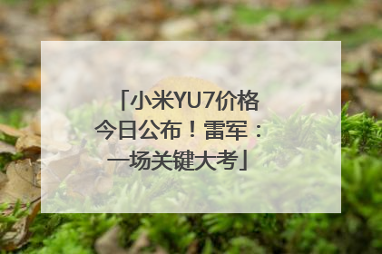 小米YU7价格今日公布！雷军：一场关键大考