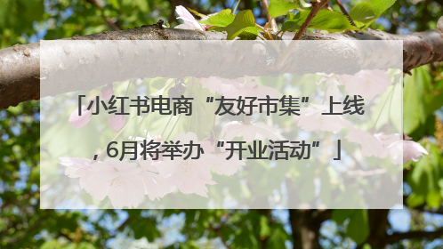 小红书电商“友好市集”上线，6月将举办“开业活动”