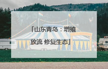 山东青岛：增殖放流 修复生态