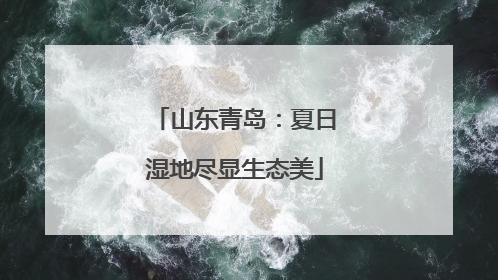 山东青岛：夏日湿地尽显生态美