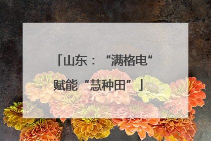山东：“满格电”赋能“慧种田”
