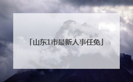 山东1市最新人事任免