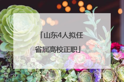 山东4人拟任省属高校正职