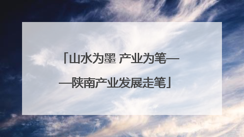 山水为墨 产业为笔——陕南产业发展走笔