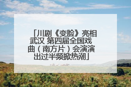 川剧《变脸》亮相武汉 第四届全国戏曲（南方片）会演演出过半频掀热潮