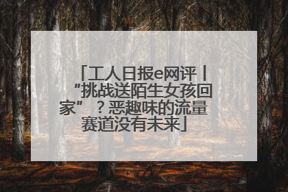 工人日报e网评丨“挑战送陌生女孩回家”？恶趣味的流量赛道没有未来