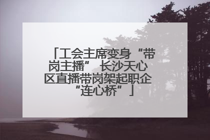 工会主席变身“带岗主播” 长沙天心区直播带岗架起职企“连心桥”