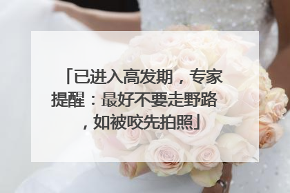 已进入高发期，专家提醒：最好不要走野路，如被咬先拍照