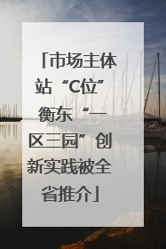 市场主体站“C位” 衡东“一区三园”创新实践被全省推介