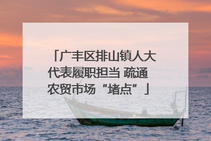 广丰区排山镇人大代表履职担当 疏通农贸市场“堵点”