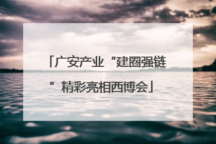 广安产业“建圈强链”精彩亮相西博会